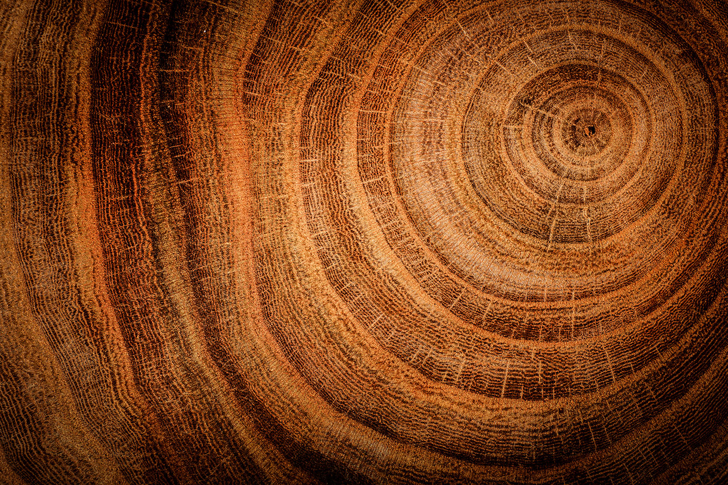 Wood